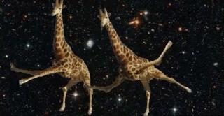 550只羊被雷劈死,500头羊被闪电劈死