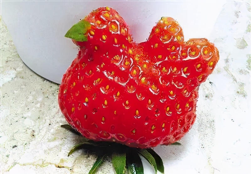 这四种水果又便宜又营养,这4种水果都是人工造出来的