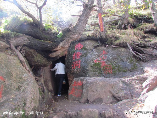 宁武芦芽山悬崖栈道,太原出发芦芽山马仑草原自驾路线