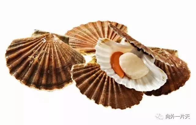 去南京旅游有什么特产值得带回,各地值得带的特产