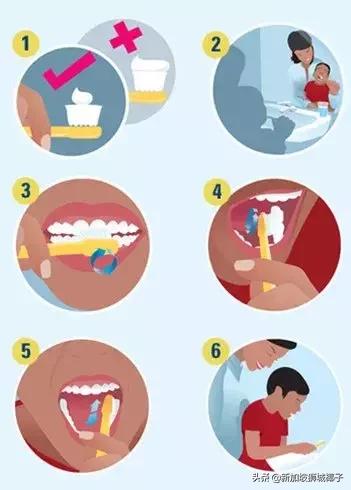 “我在新加坡带孩子看牙医，花了3000多新币！”