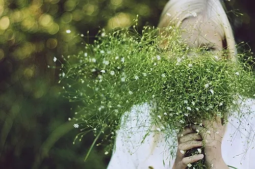 爱上了一个有家室的人古诗,一个有家室的男人爱上你怎么办