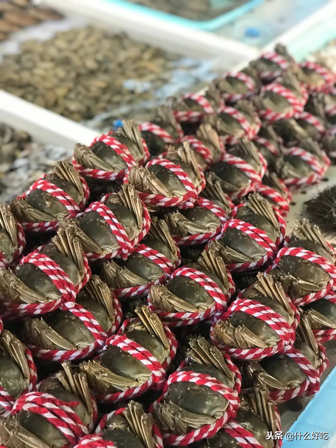 广州海鲜天堂介绍,广州黄沙有哪些海鲜