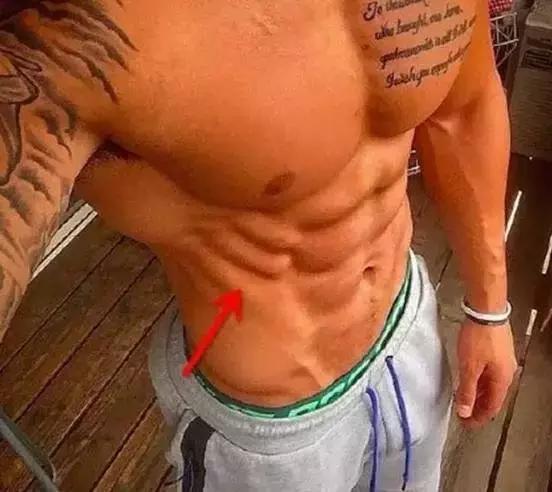 马甲线人鱼线教程,练人鱼线马甲线和鲨鱼肌