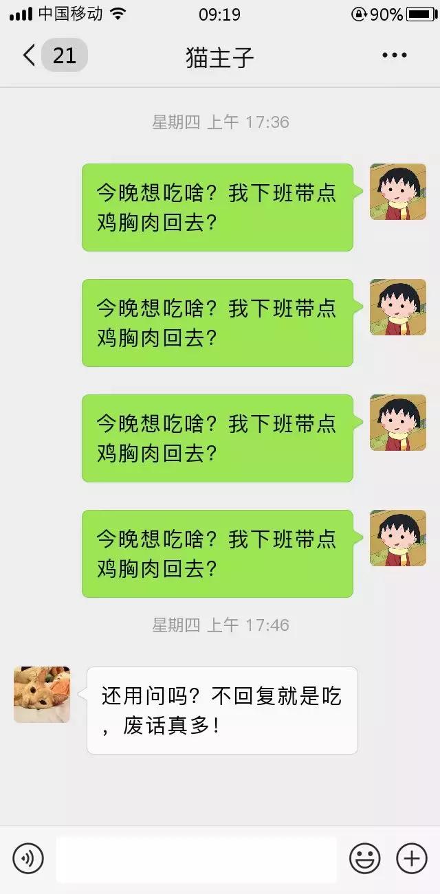 跟我家猫发微信，就像跟渣男在聊天