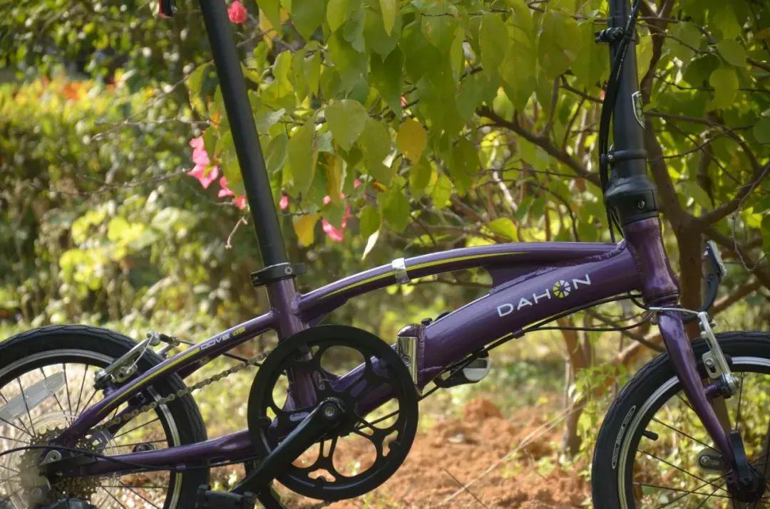 大行sra682怎么样,大行折叠自行车archerd7