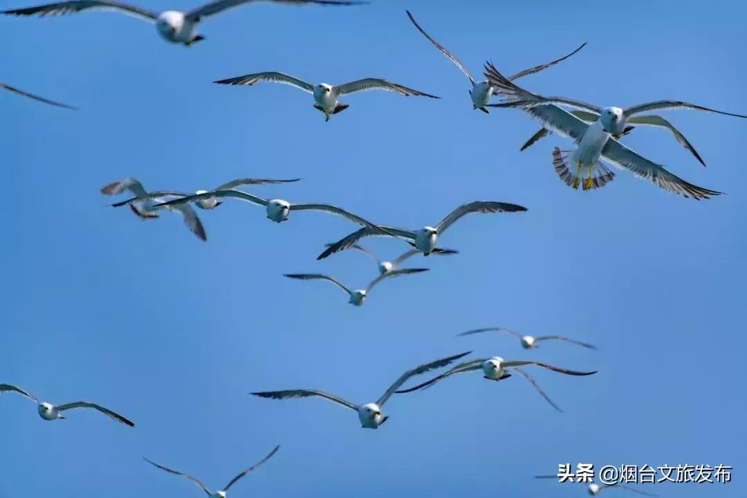 烟台人的夏天应该这样过,烟台的夏天为什么热而不燥