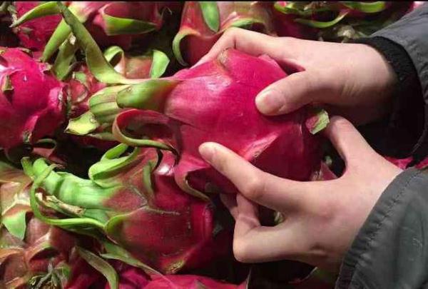 火龙果甜不甜看着就知道了,如何判断火龙果甜不甜