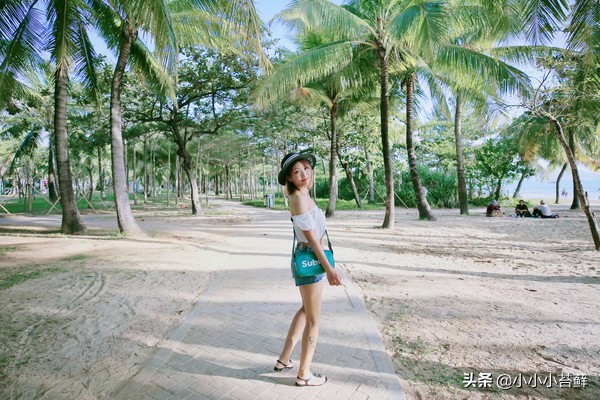 去三亚旅游吃住行全攻略,三亚吃住行