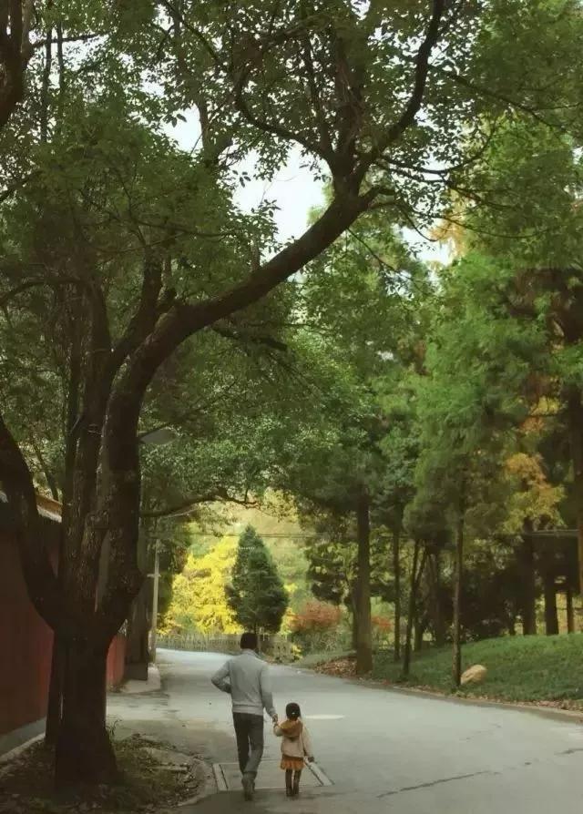 杭州天目山上客堂禅意民宿,天目山斐文禅意酒店