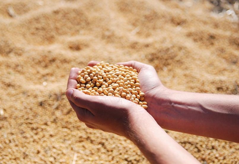 被骂得最惨的5个小吃,看似营养却不适合孩子的五大食品