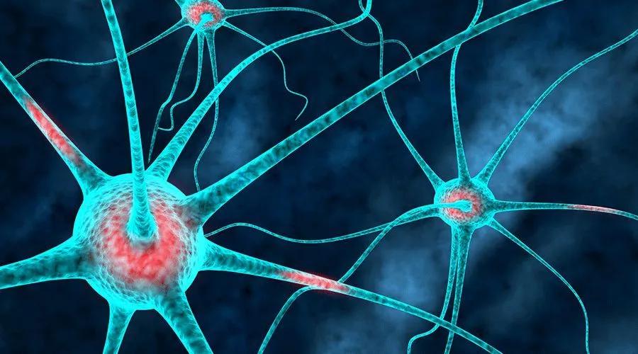 进行性肌营养不良跟渐冻症的区别,进行性肌营养不良症与渐冻症