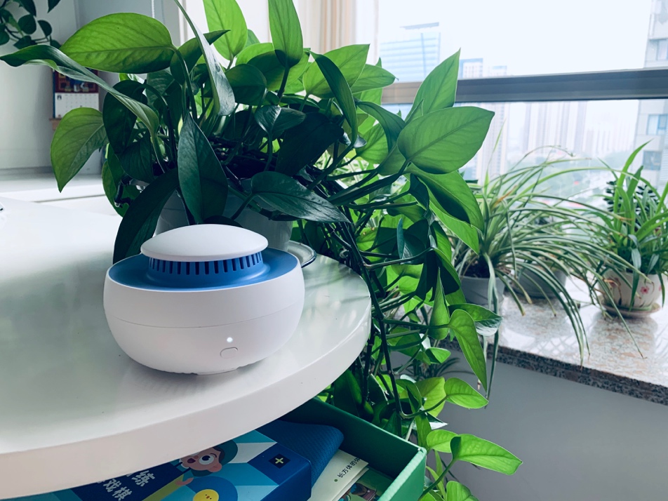 还在苦恼七夕送小仙女什么礼物吗,还在头疼送什么礼物