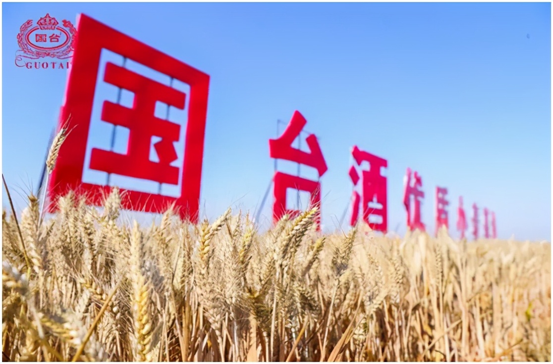 国台凭何领航商业生态？以“聚-合-通””缔结共享共赢的价值纽带