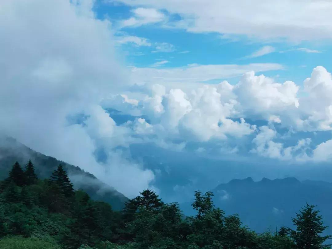 神农架攻略书,重庆出发神农架三日自驾游攻略