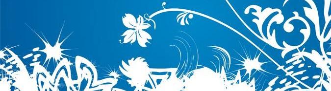 确定女生关系后的想法,确定关系后女生该怎样跟女生告白