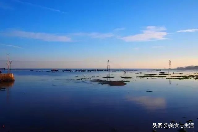 大连海鲜批发集市,大连海鲜最便宜的市场