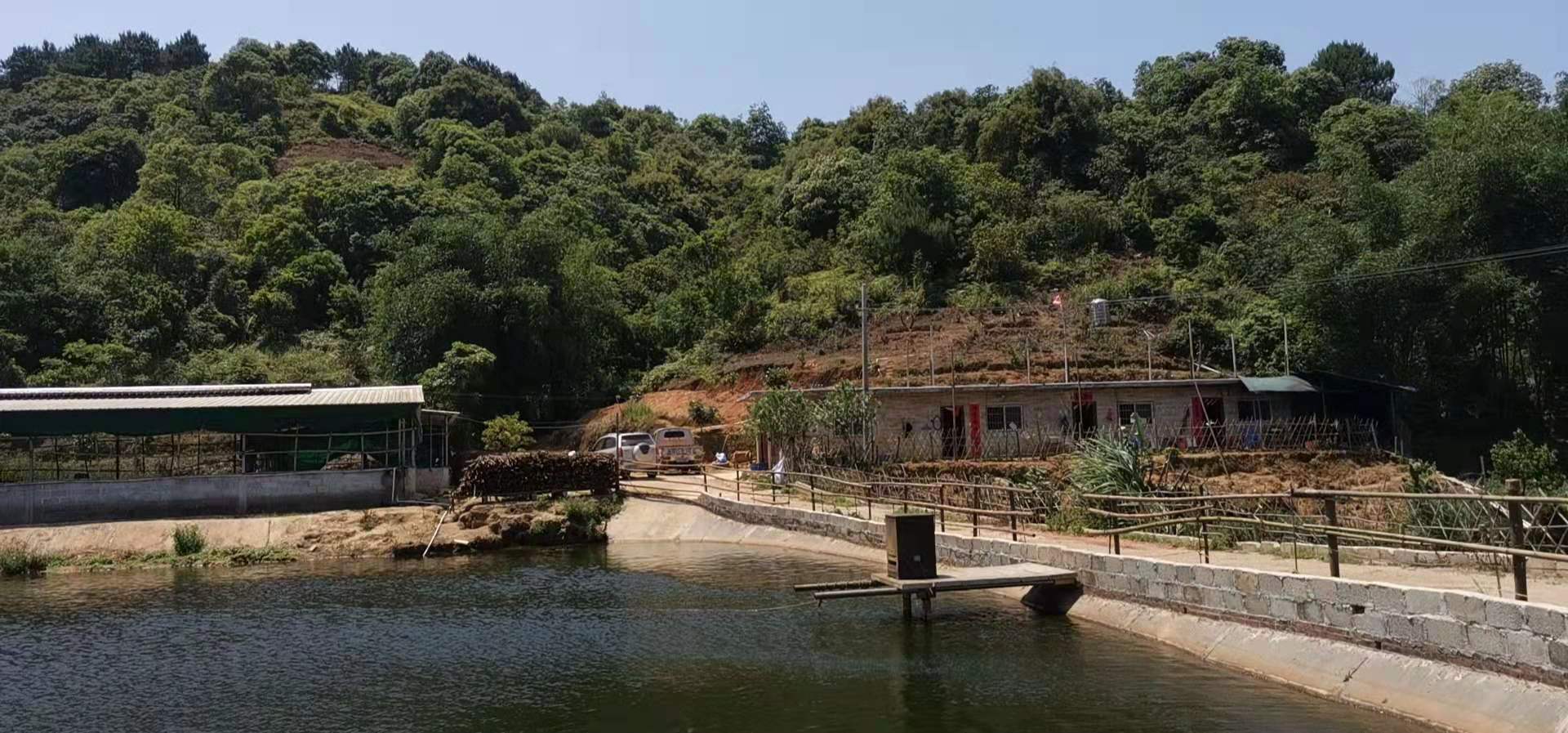 水产养殖成为最赚钱行业,在农村水产养殖什么回本快