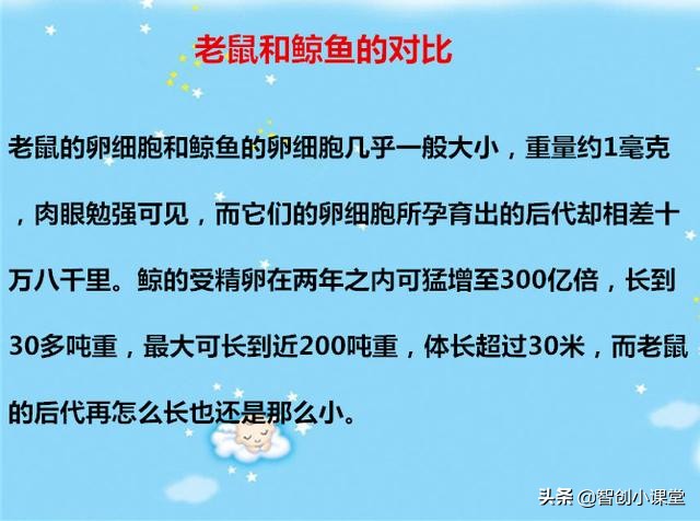 给小孩讲的睡前故事简短,儿童每日一篇睡前必听经典小故事