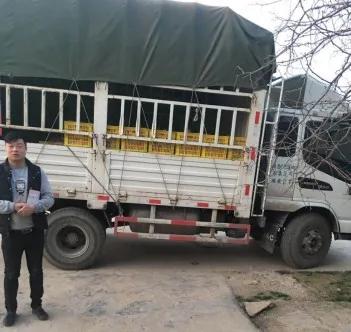 绿通赚钱秘诀,绿通怎么跑才挣钱