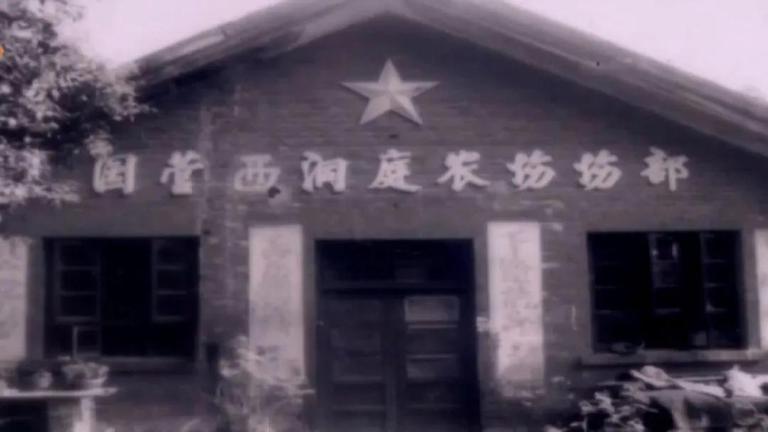 农垦史话丨沙河情思