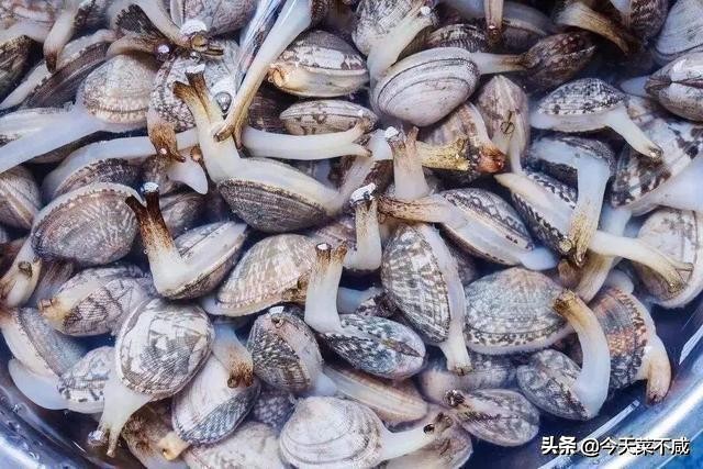 花蛤吐沙放香油是真的吗,花蛤怎么吐沙干净放香油