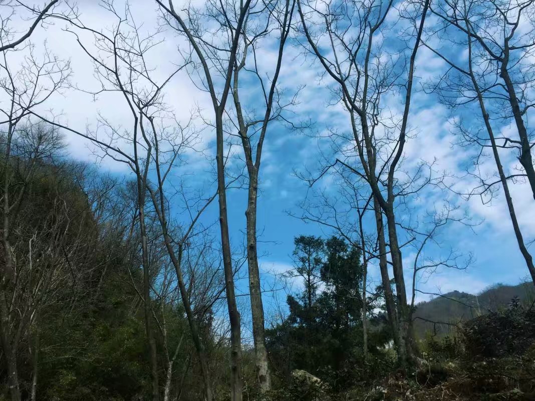 浙江的“青藏高原”在哪里？一起去浙西大峡谷探秘吧！