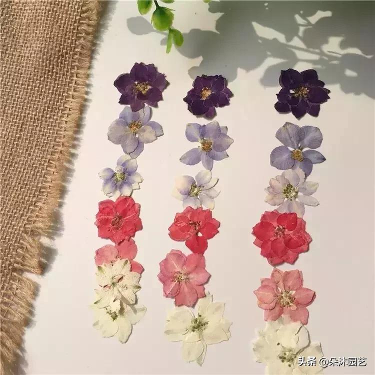 干花如何定格在墙上,干花制作5朵花教程