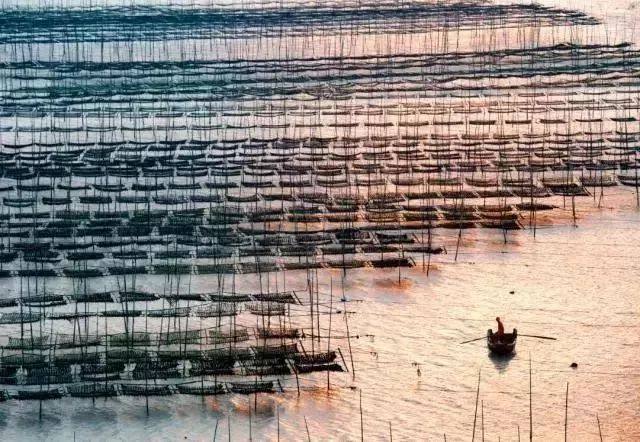 温州能开车看日出最佳地点,看日出的好地方温州