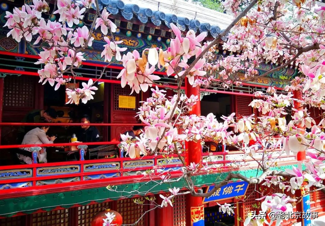 北京有哪些地标值得去看一下,北京的地标建筑物有哪些