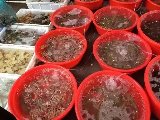 惠州融创海湾半岛精灵度假公寓,海湾半岛度假酒店