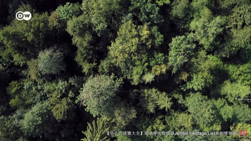 第4027回：气候*弹炸**亚洲纸浆，水上烟泥炭地退化