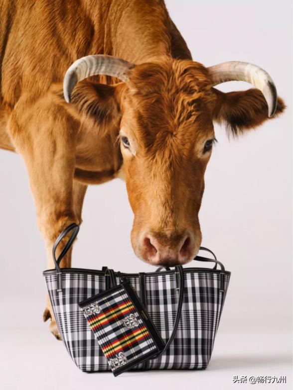 牛年大牌限定,2020年爆款奢侈品