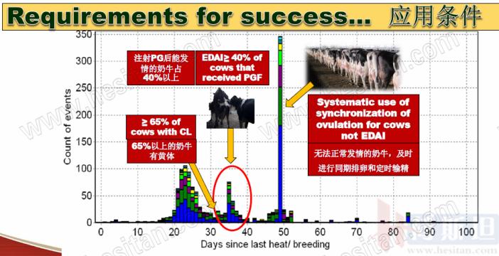 康奈尔大学JulioGiordano:如何通过技术整合优化繁殖性能