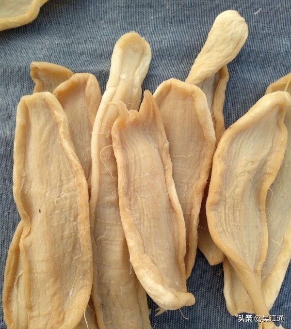 盛泽的同学们，还记得那个赤鼻子老师吗？