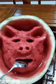 鎼炵瑧gif娈靛瓙濡瑰瓙浣犲お鐨簡,鎼炵瑧gif娈靛瓙濡瑰瓙鏈夌偣澶窐姘斾簡