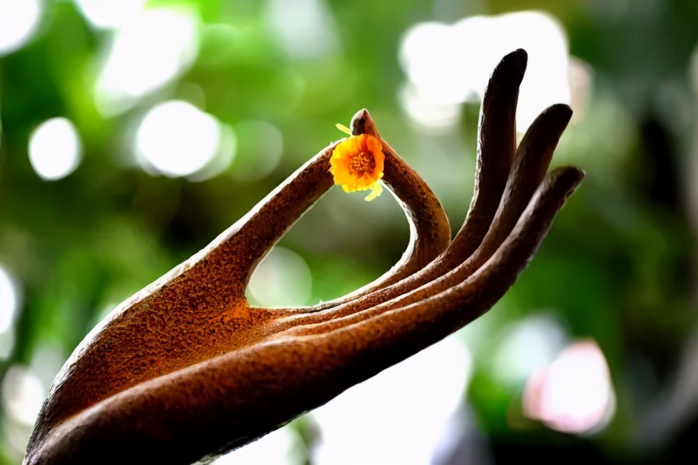 老僧的点醒:感觉生活不如人意时,建议去这3个地方看看