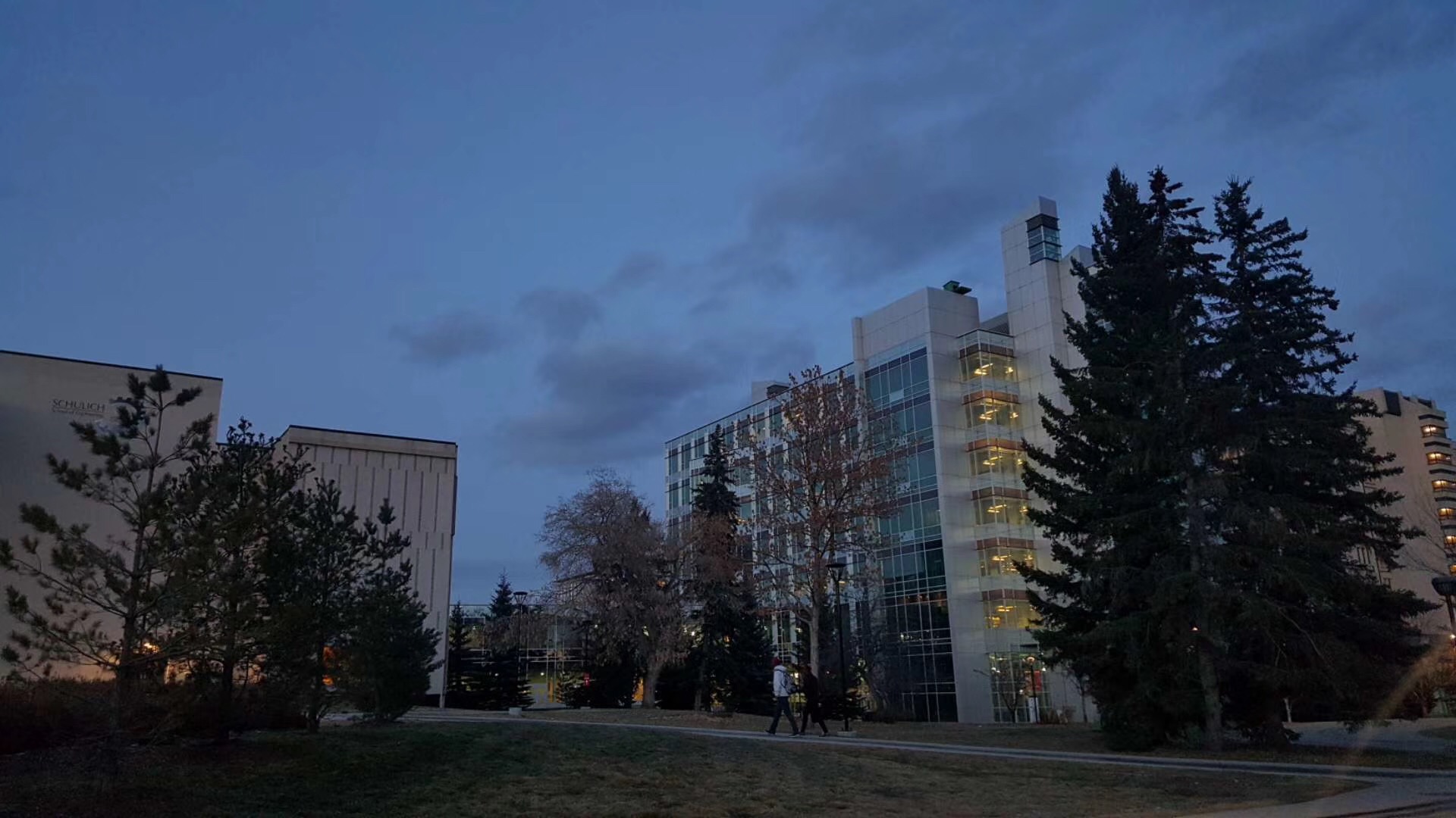 卡尔加里大学研究生申请条件,卡尔加里大学是世界名校吗