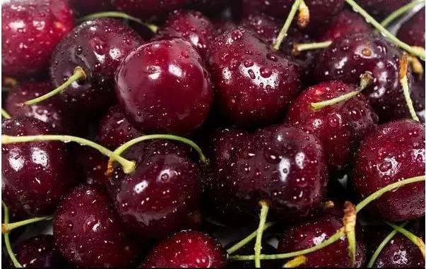 车厘子必备常识,这个季节的车厘子怎么管理