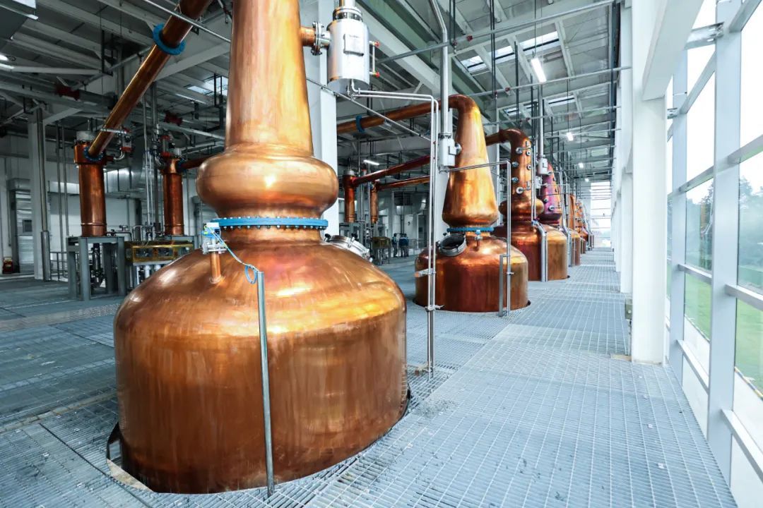 百润投资10亿威士忌,百润威士忌