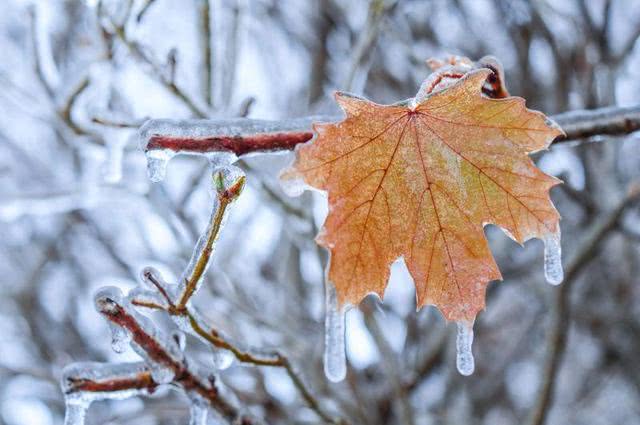 科普水是怎么结冰的,水是怎么结冰的