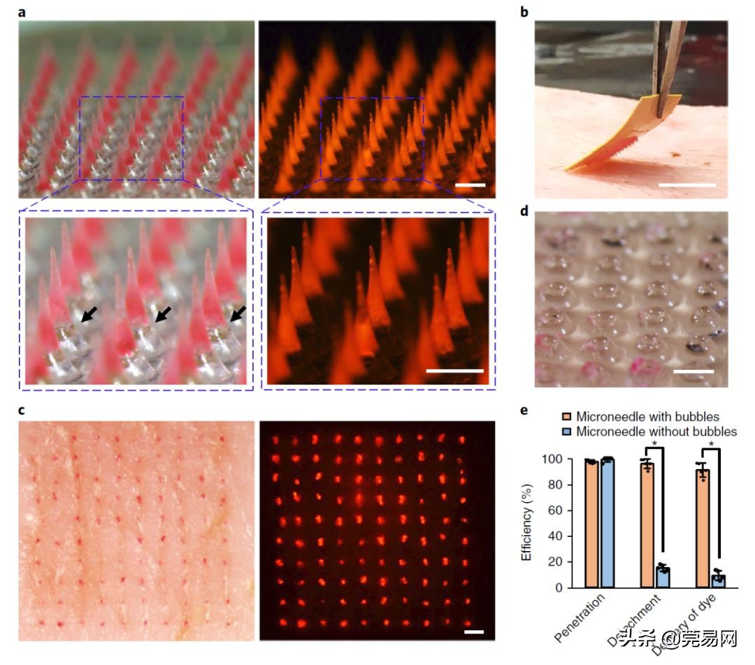 再见了大别山王宏伟原唱,再见了相互嫌弃的老同学