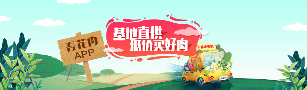 多肉长气根的原因及治疗,为啥多肉杆上长须根