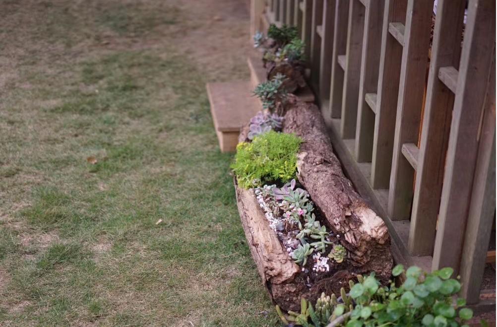 第一次走进幼儿园,幼儿园星空的探秘之旅