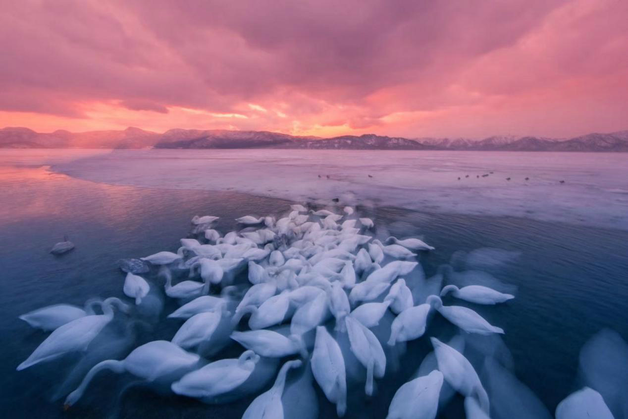 生态摄影师相机,生态摄影著名摄影家