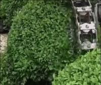 德国的认真和严谨,德国人的严谨和认真有多可怕