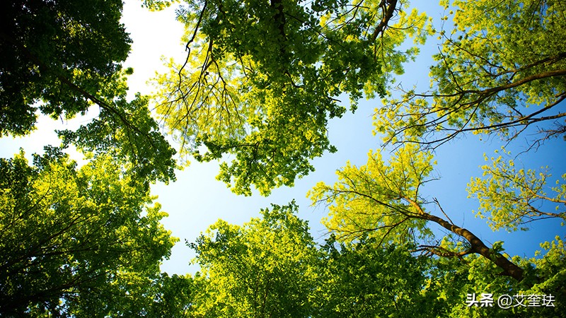 明基i707使用介绍视频,明基i707需要光擦镜头吗