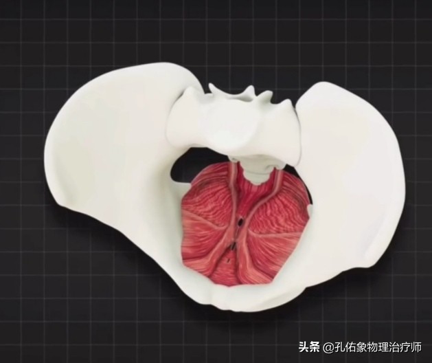 生过孩子女生体验分娩痛,生过孩子的女人老是腰痛