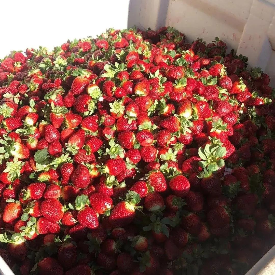 去澳洲打工需要20万存款证明,去澳洲打工三年能挣多少钱