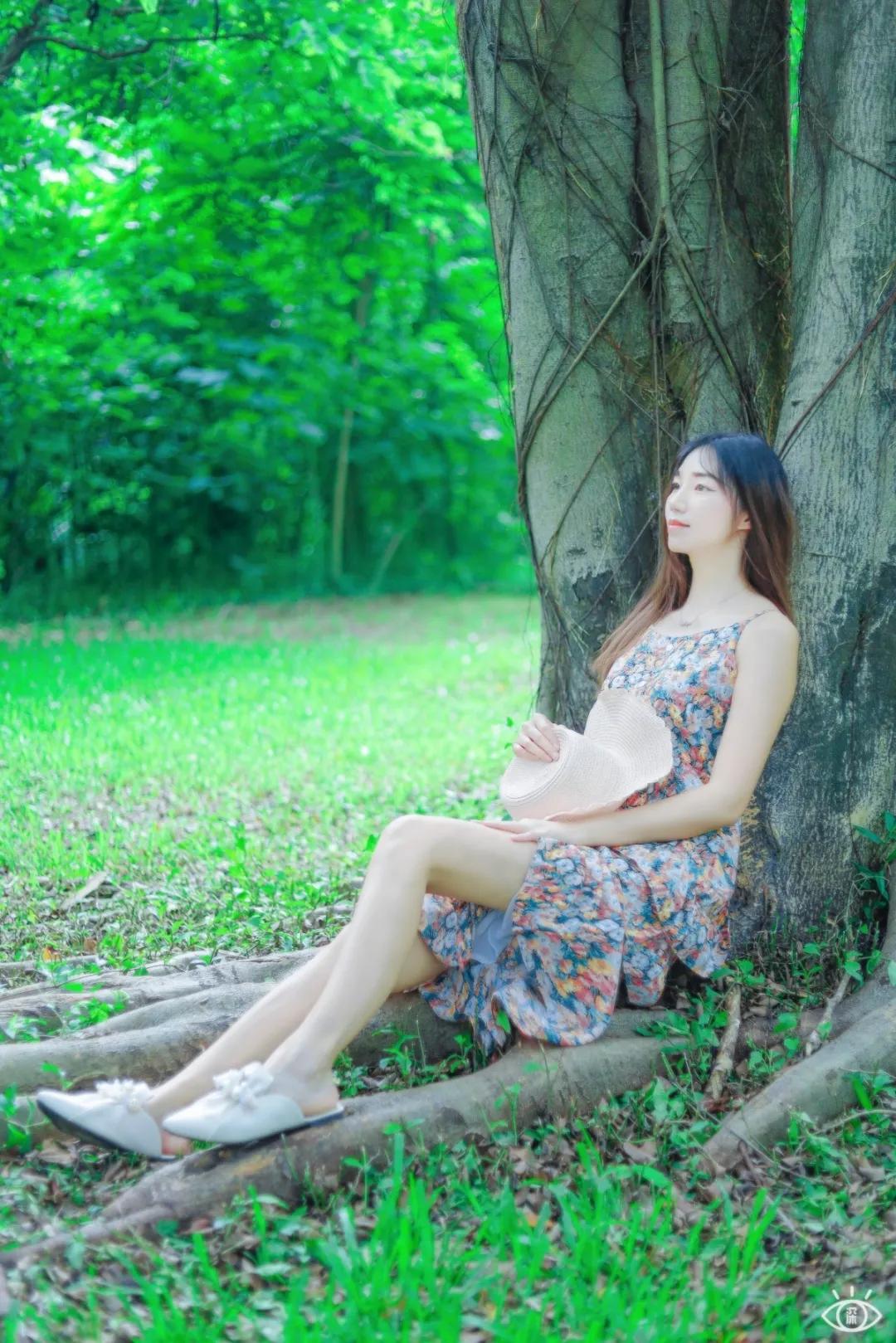 深圳宝藏公园风景图片,深圳宝藏自然游乐区